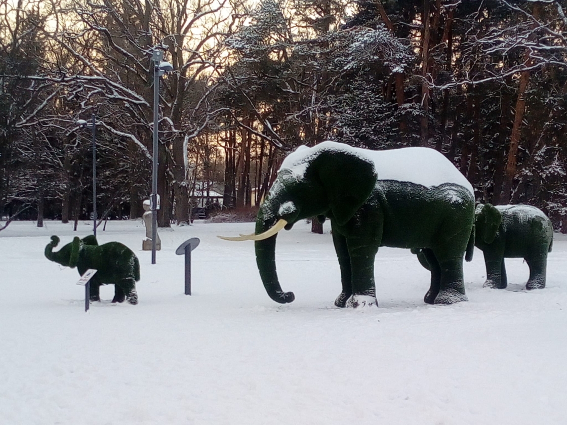 Elevandid lumises pargis
