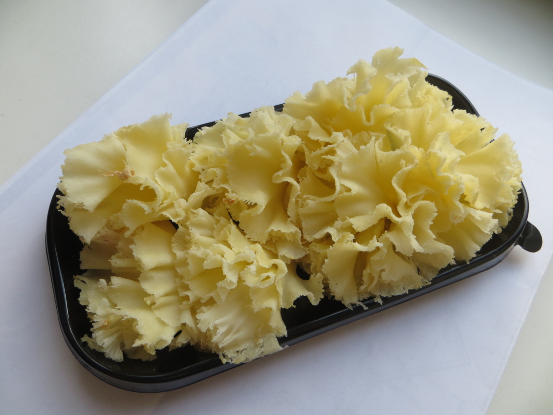 Nelgiõied juustust