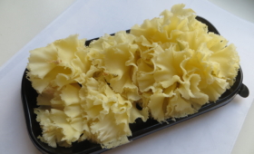Nelgiõied juustust