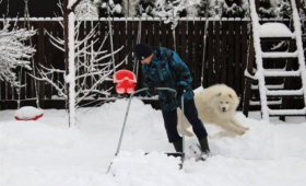 Koer aitab isal lund lükata