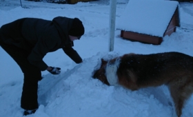 Koeraga lumehanges
