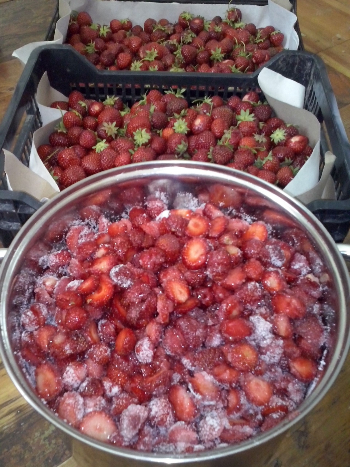 Suvised maasikad