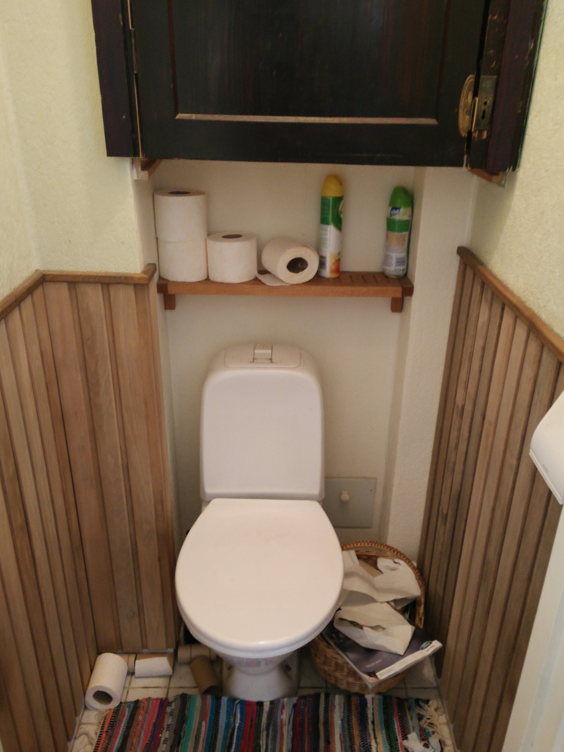 Tagasihoidlikult modernne tualett